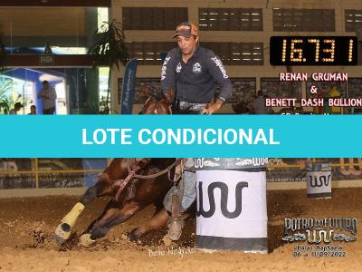 LOTE 018 - EMBRIÃO A EFETIVAR - BENETT DASH BULLION x TWIG LADY AG