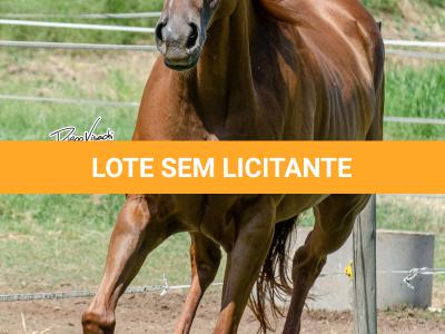 LOTE 011 - MY FIRST FLY