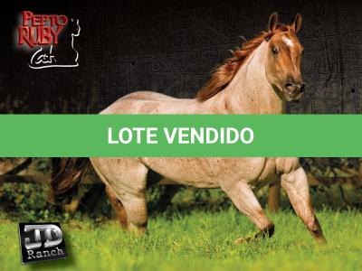 LOTE 032 - PEPTO RUBY CAT (Coberturas)