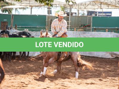 LOTE 025 A - Metallic Lena's TMR (Coberturas)