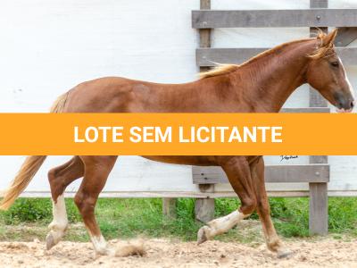 LOTE 018 - FANTASMA ESM DA PPMP