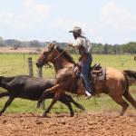 LOTE 007 - TORO KENETICO EDU