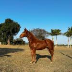 LOTE 014 - HYDRIVE BOY